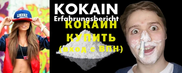 шишки Касимов
