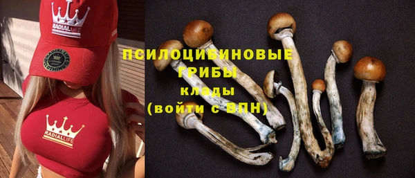 прущий лед Кинешма