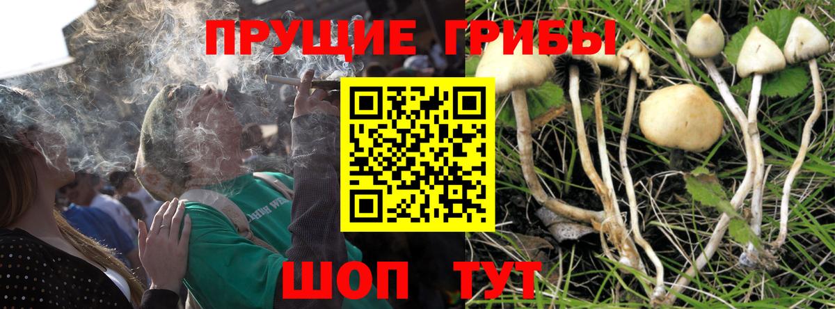 Псилоцибиновые грибы Cubensis  Костомукша 